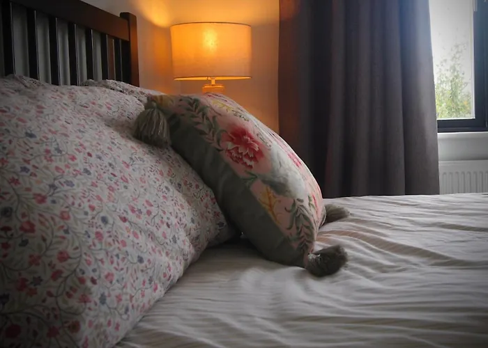 Quiet Riverside Stopover By The Shannon, Perfect For Work Stays And Weekend Breaks County Leitrim