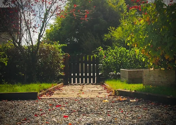 Quiet Riverside Stopover By The Shannon, Perfect For Work Stays And Weekend Breaks Appartement County Leitrim